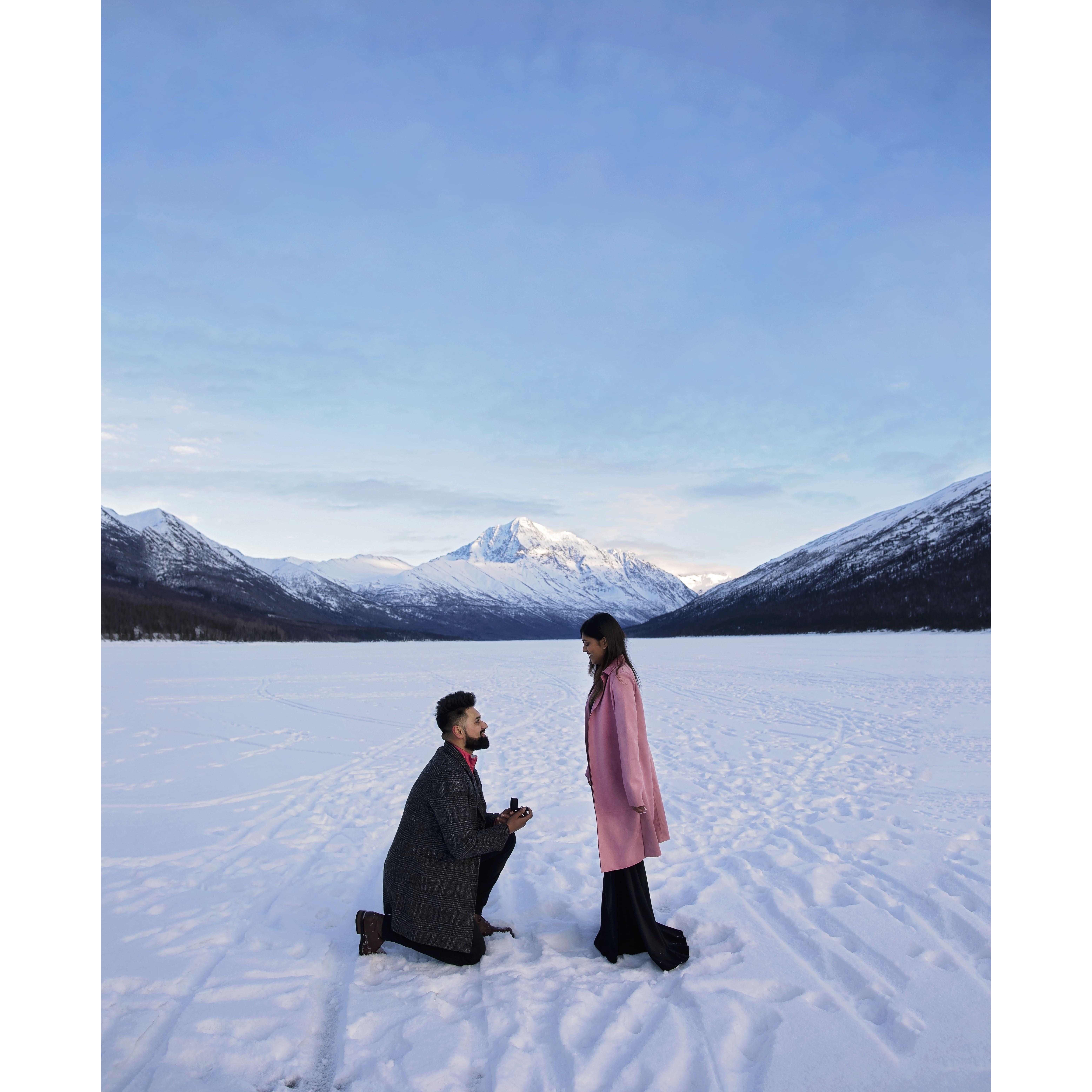 The Proposal