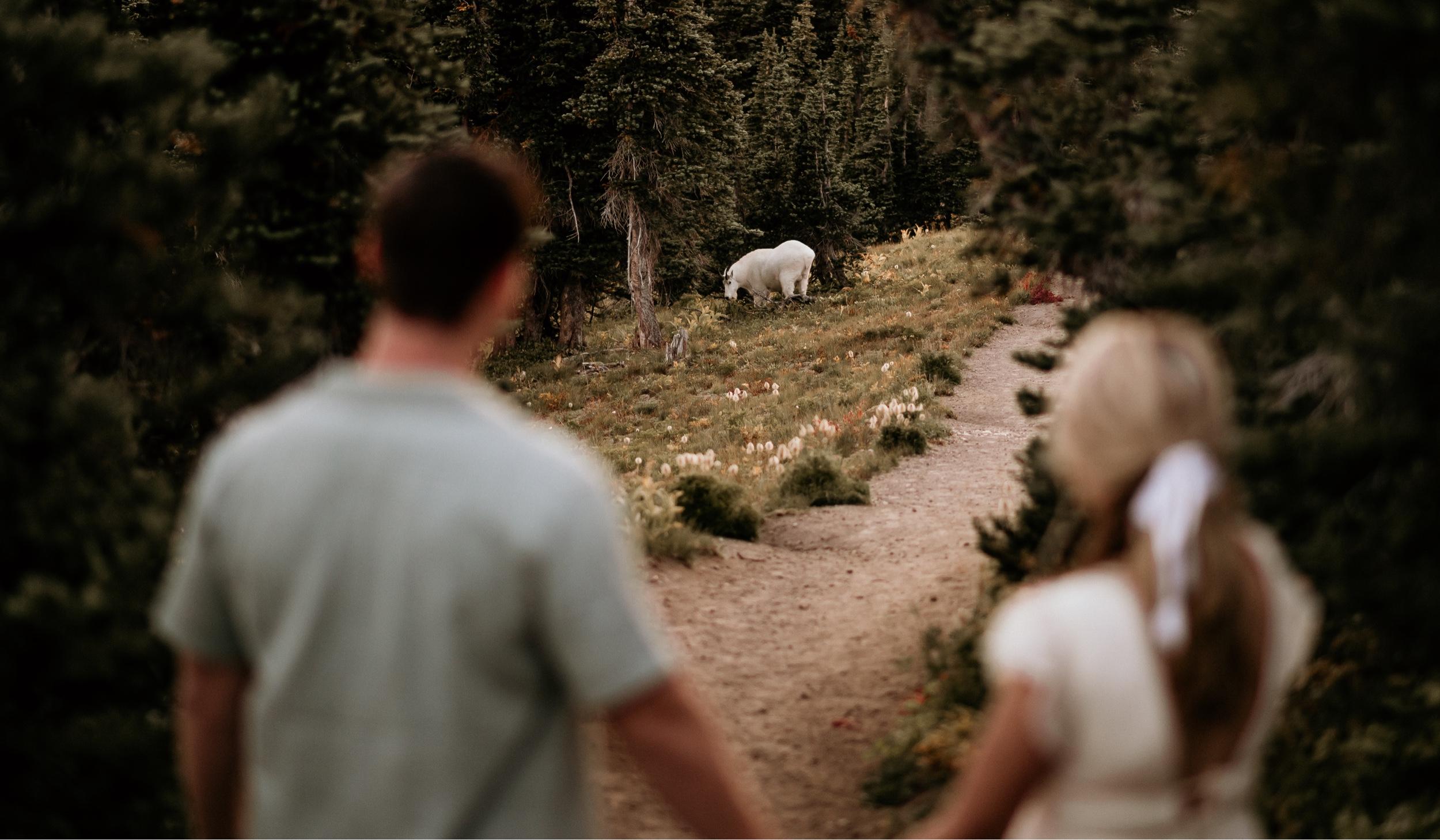 The Wedding Website of Miranda Wilhite and Avyatar Hes