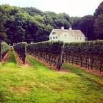 Harmony Vineyards