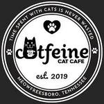 Catfeine Cat Cafe