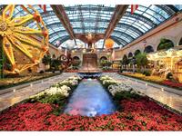 Bellagio Conservatory & Botanical Gardens