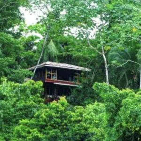 Costa Rica Honeymoon Fund