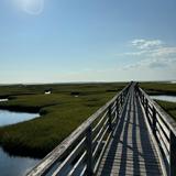 Grays Beach