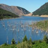 Earthquake Lake
