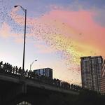 Ann W. Richards Congress Avenue Bridge