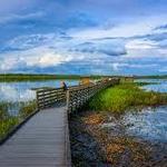 Myakka River State Park