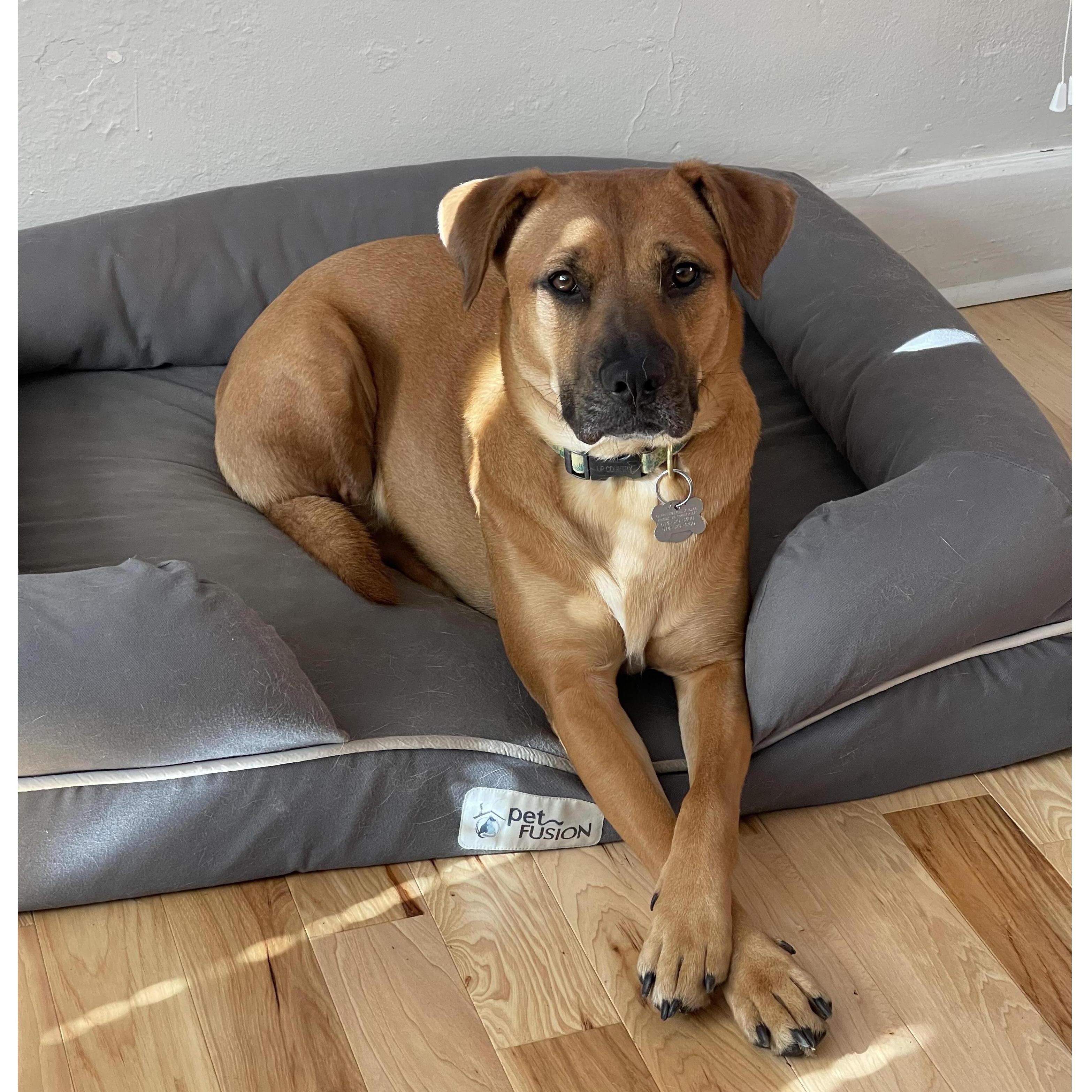 Our best bud, Nala, on her best behavior