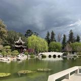 The Huntington Library, Art Museum, and Botanical Gardens