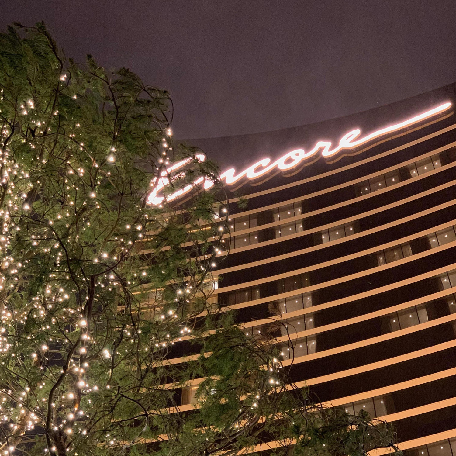 Visiting Encore Boston Casino to see Jason's Scotch Pines in the landscaping