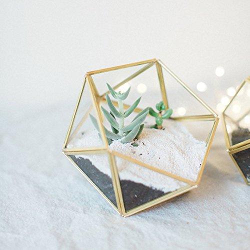Bella's garden Geometric Gold Glass Terrarium Container Desktop Planter Succulent Fern Moss Air Plants Holder Miniature Outdoor Fairy Garden Gift Wedding Decor Box (Small, Gold)