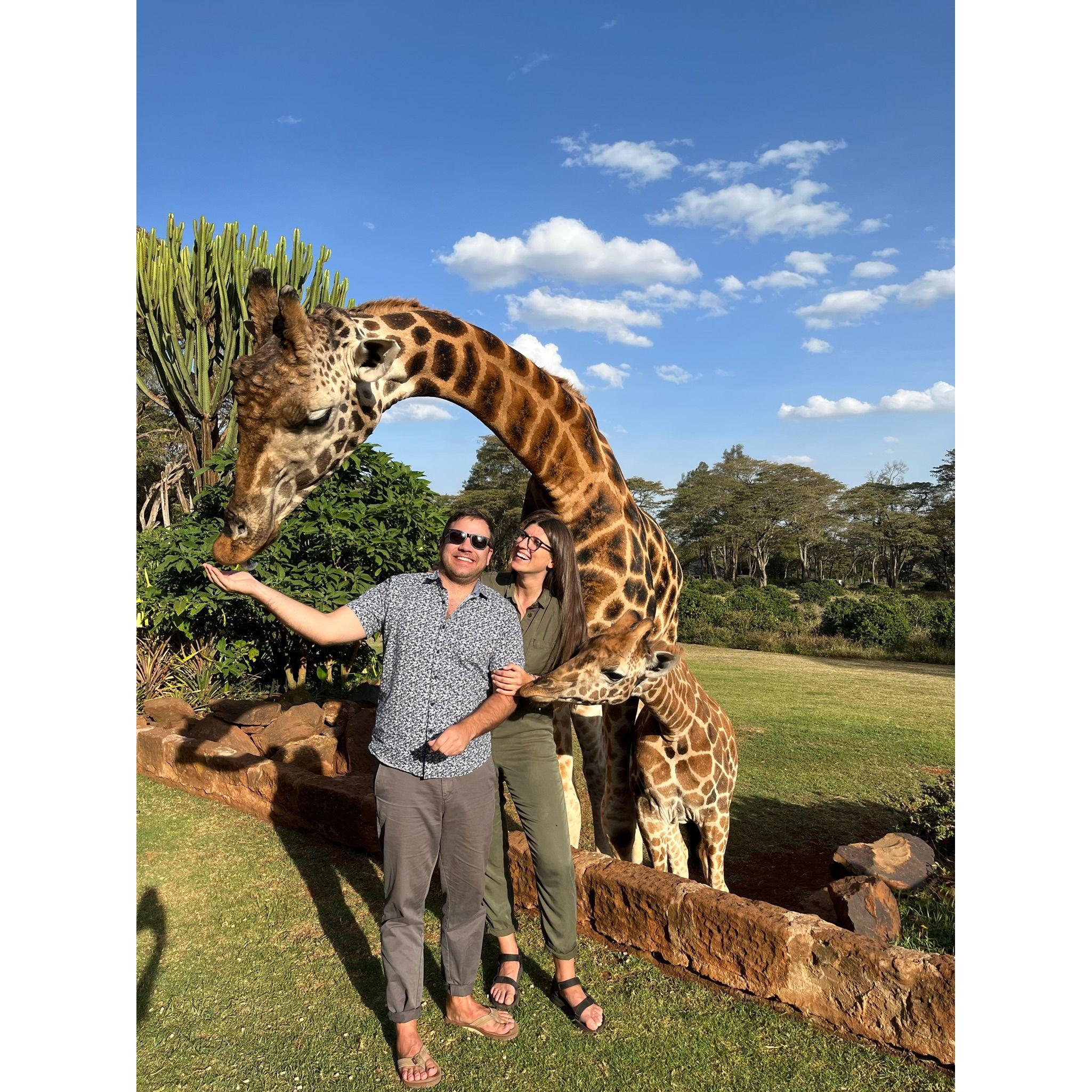 Giraffe Manor - Nairobi, Kenya
February 2022