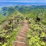 Wiliwilinui Ridge Trail