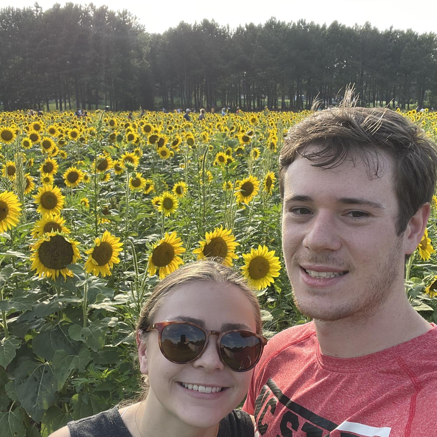 The Sunflowers at Dorothea Dix Park in Raleigh, NC