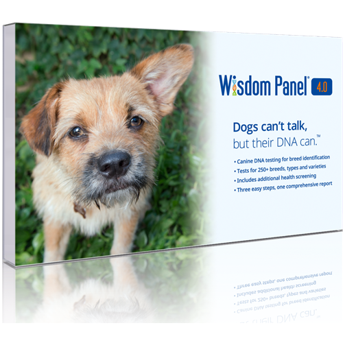 Wisdom Panel™ 4.0