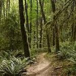 Forest Park Trailhead
