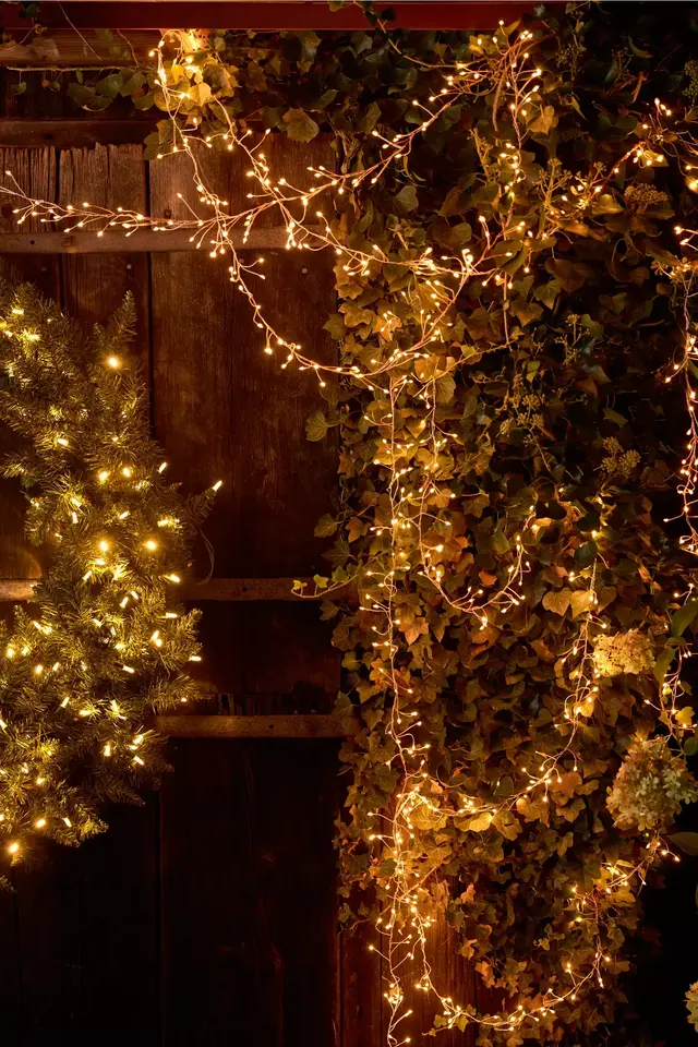 Stargazer Twinkling Tendril Vine Lights