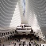 The Oculus