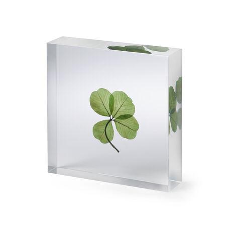 Lucky Clover Objet