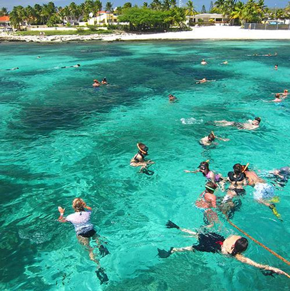 Snorkel Trip in Aruba