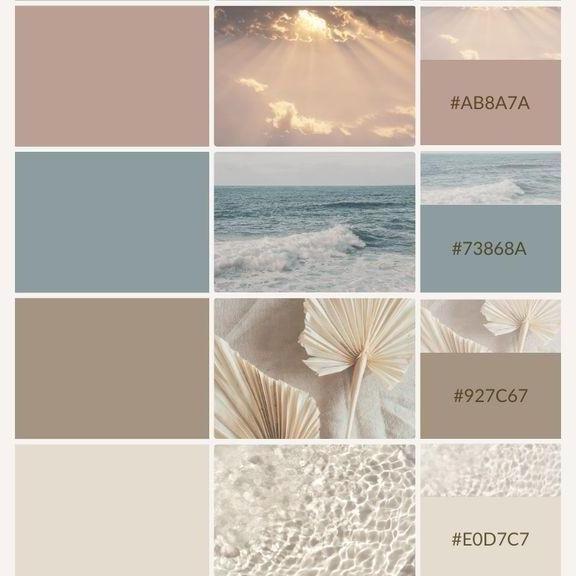 Guest Color Scheme - Only solid colors, please no patterns or green.