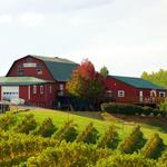 Carter Mountain Orchard
