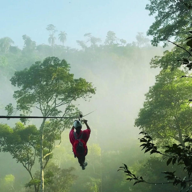 Jungle Trek Iguazu