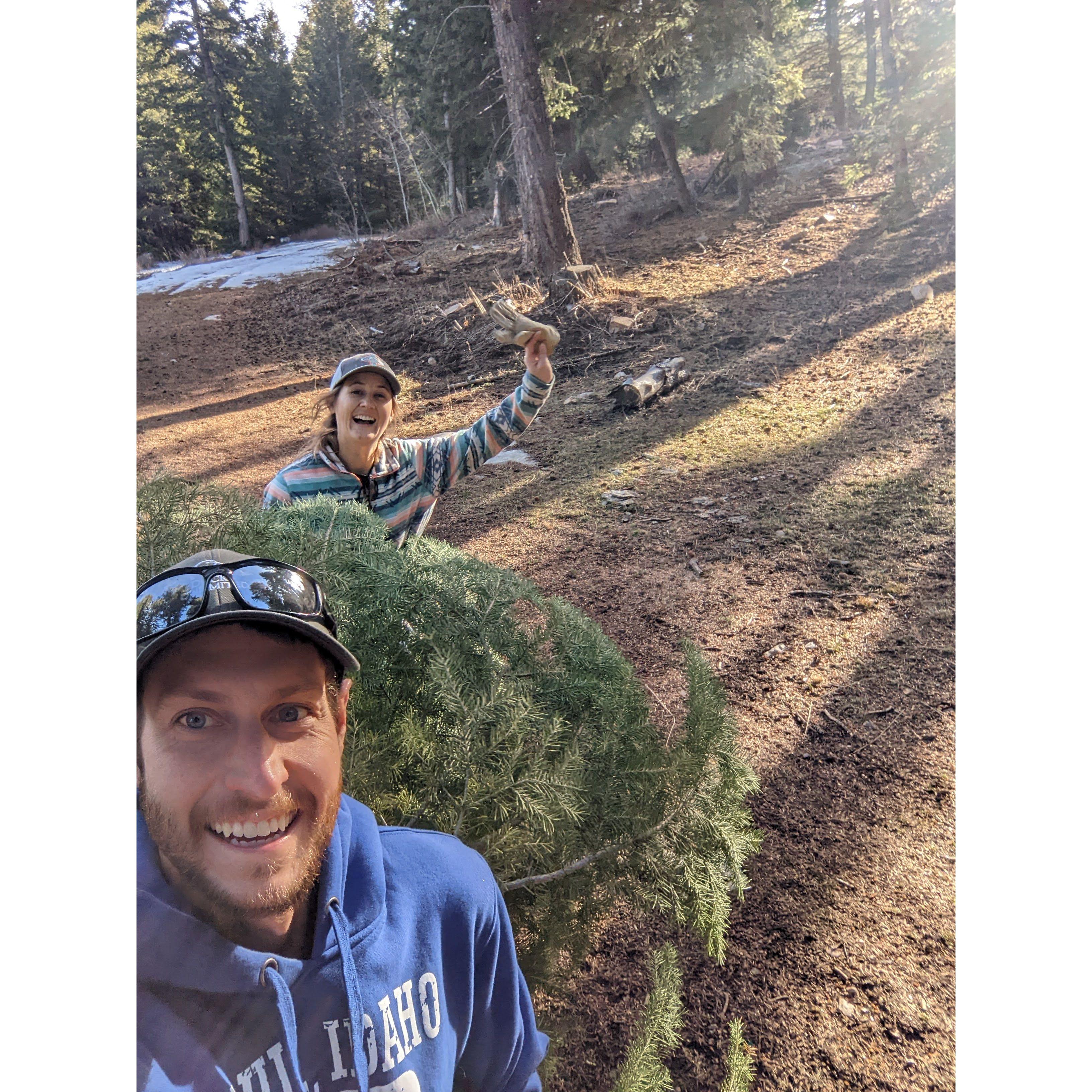 Our first Christmas tree together! 2021