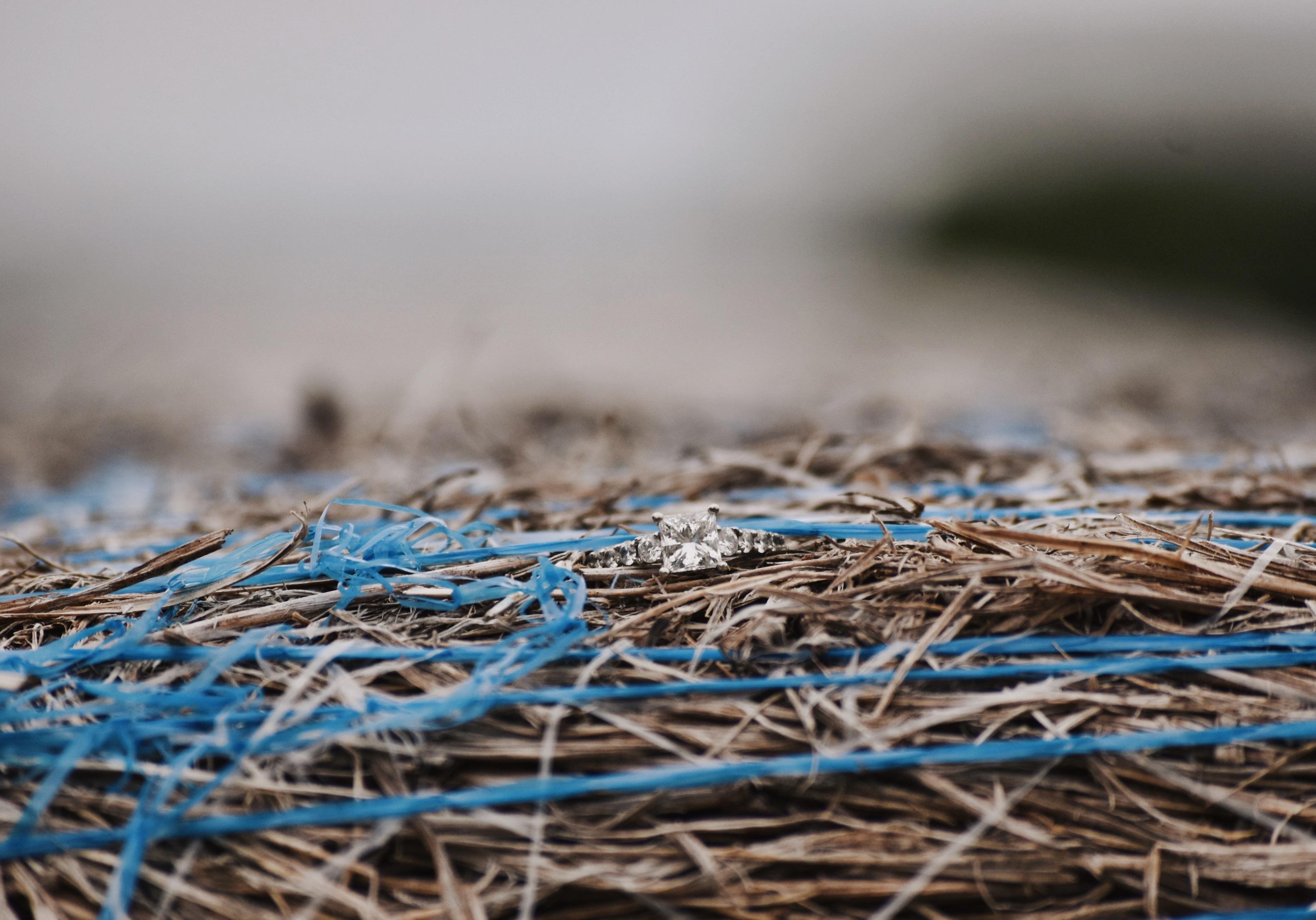 The Wedding Website of Taylor Robertson and Bradyn Woods