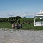 Pellegrini Vineyards