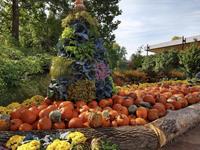 The Morton Arboretum