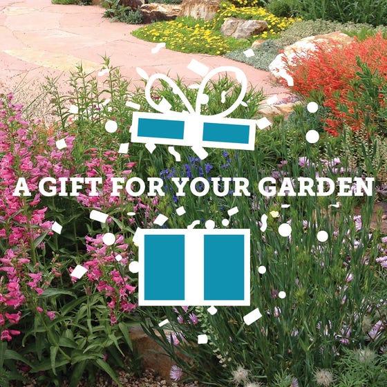 High Country Gardens Gift Card