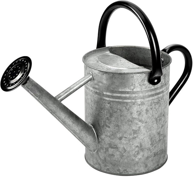 yourjoy Metal Watering Can, One Gallon Watering Cans Stainless Steel for Outdoor Indoor Garden Plants Watering (Silver 1 Gallon)