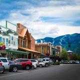 Whitefish