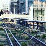 The High Line