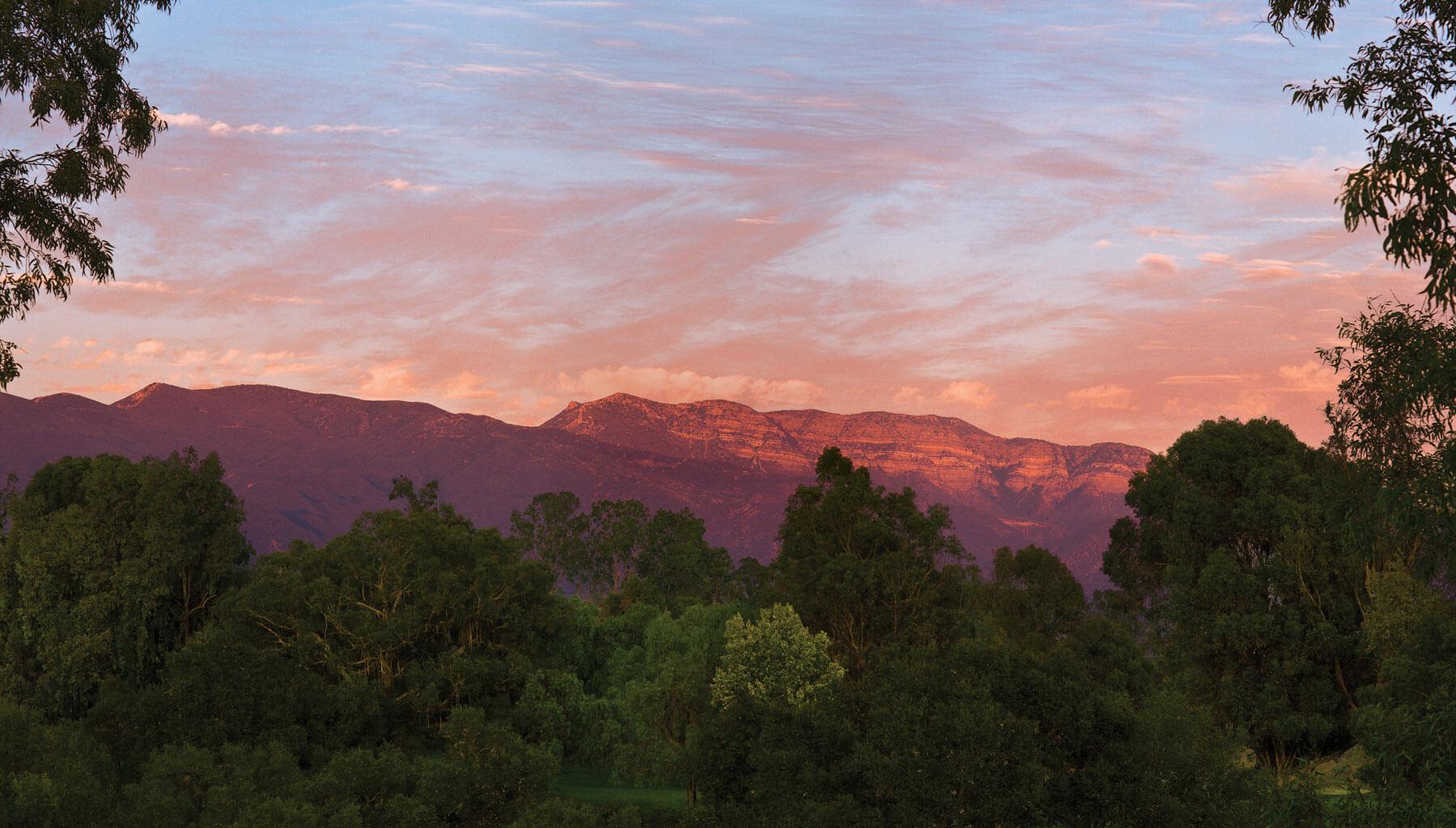 The Wedding Website of Heather Leyse and Zak Langley