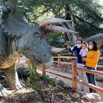 Santa Barbara Museum of Natural History