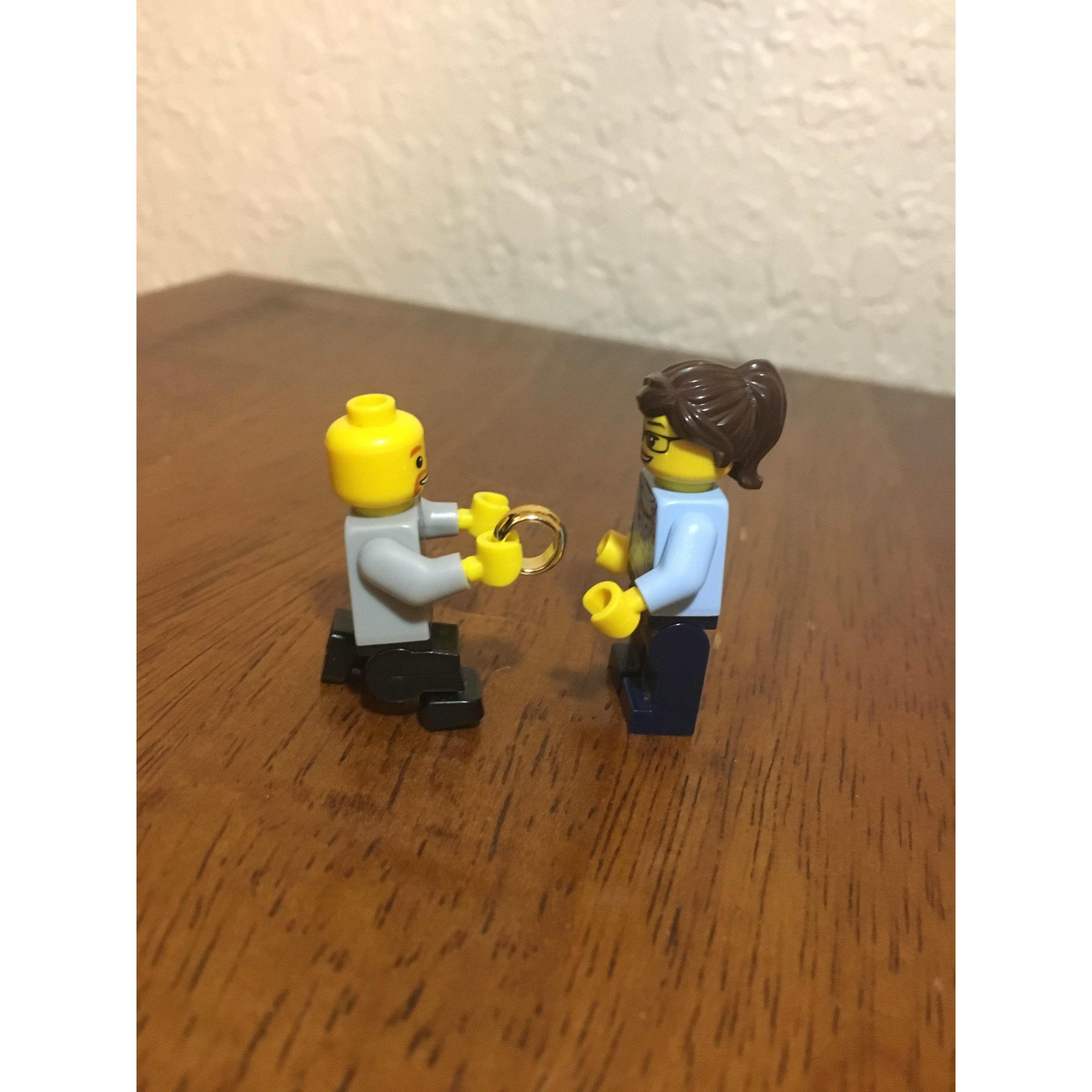 His proposal looked something like this lol