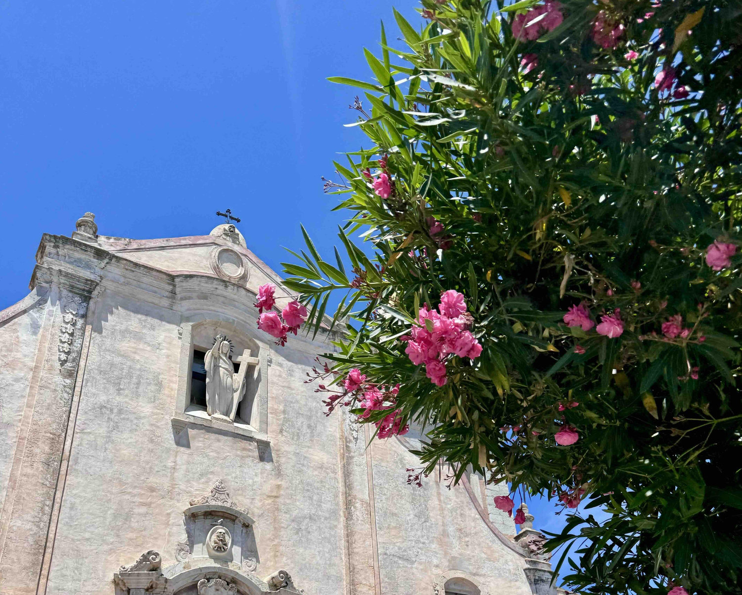 The Wedding Website of Christian Teixeira and Sophia Fazzolari