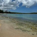 Seven Seas Beach