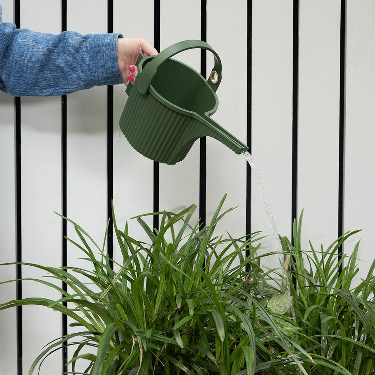 Chilewich, Hachiman Garden Small Beetle Watering Can | Zola
