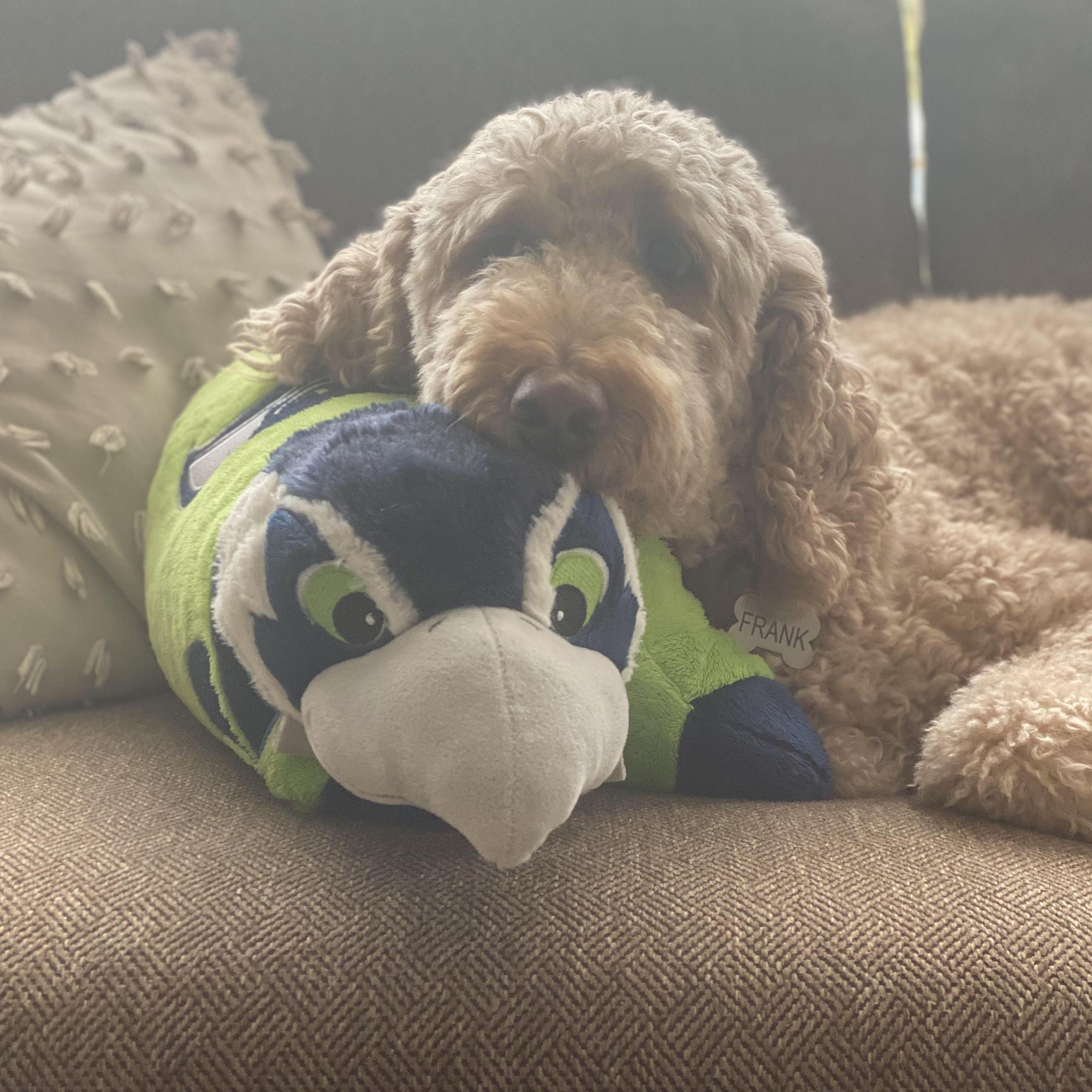 Jacob even managed to convert Frank into a huge Seahawks fan (this is him watching his favorite team play)