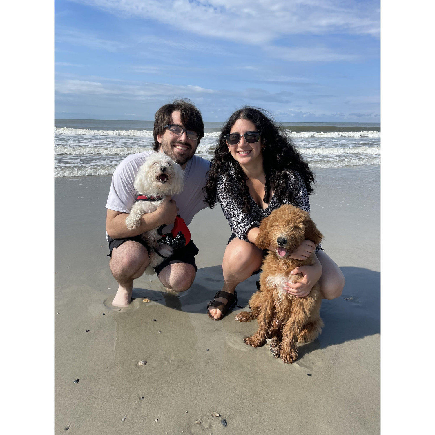 Chilling at the beach🐶