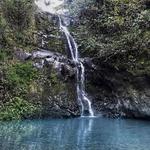 Hike Waimano Falls