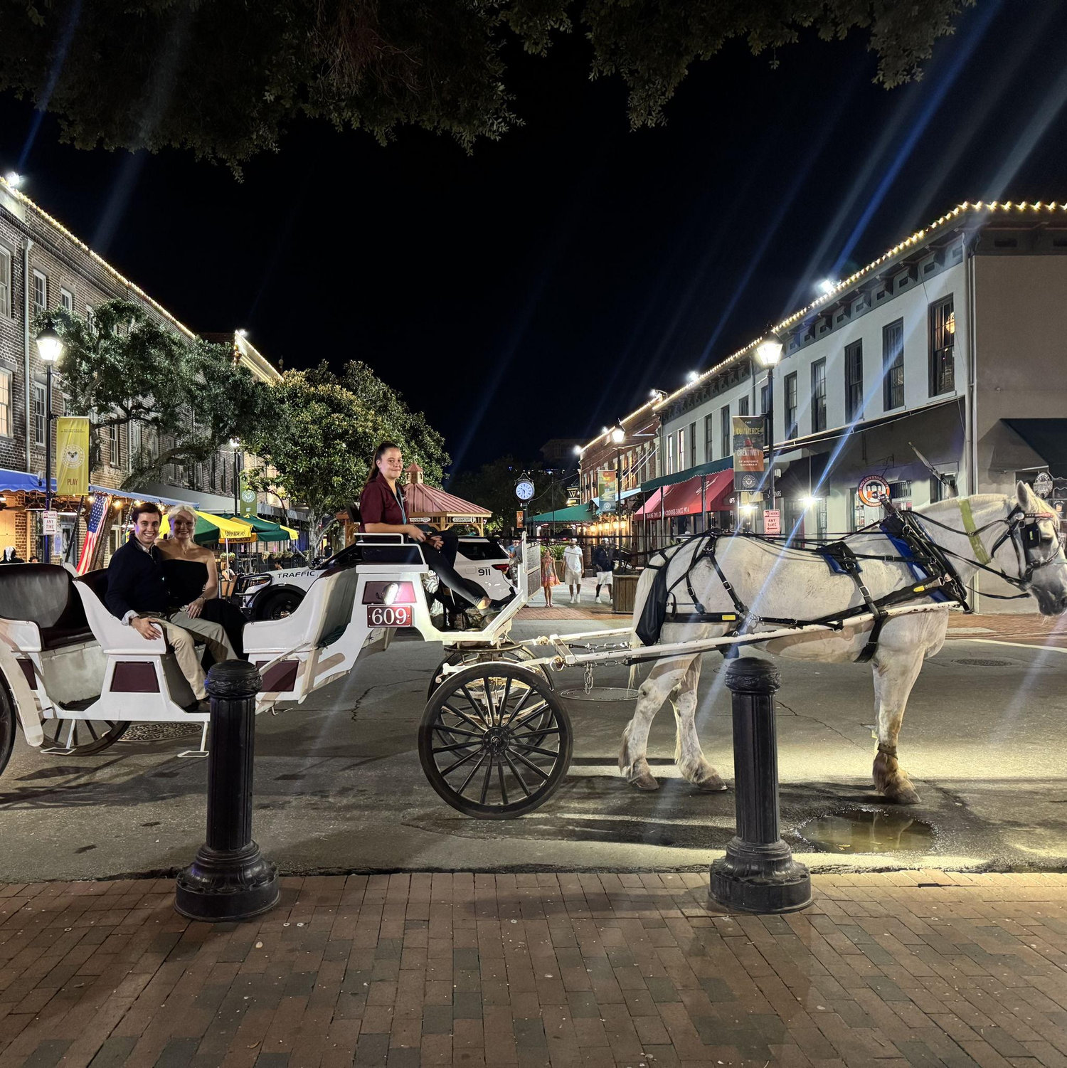 Chandler surprised Elise with a carriage ride around Savannah, GA after the engagement.