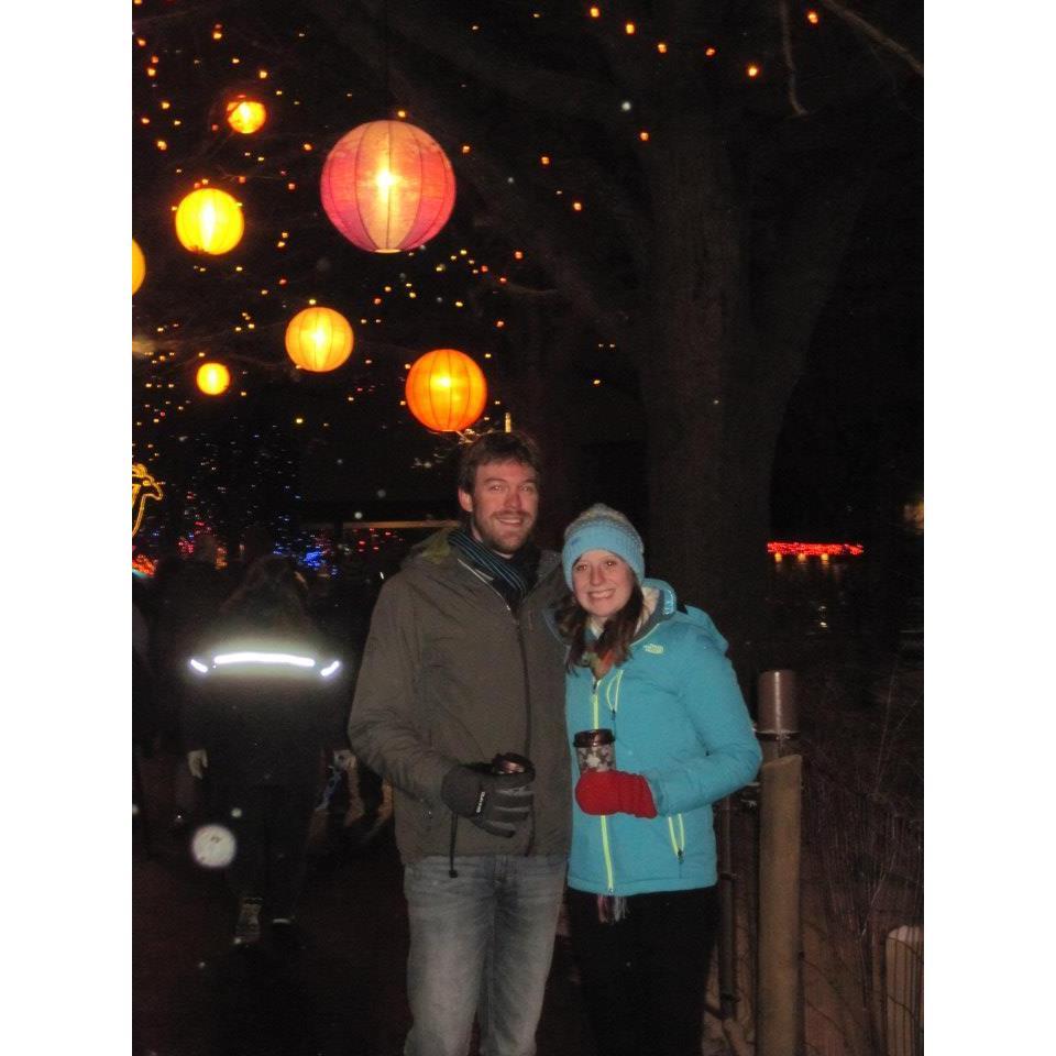 Lanterns and zoo lights!