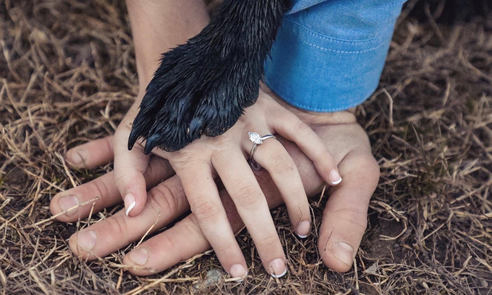 The Wedding Website of Lily Herndon and Philip Best