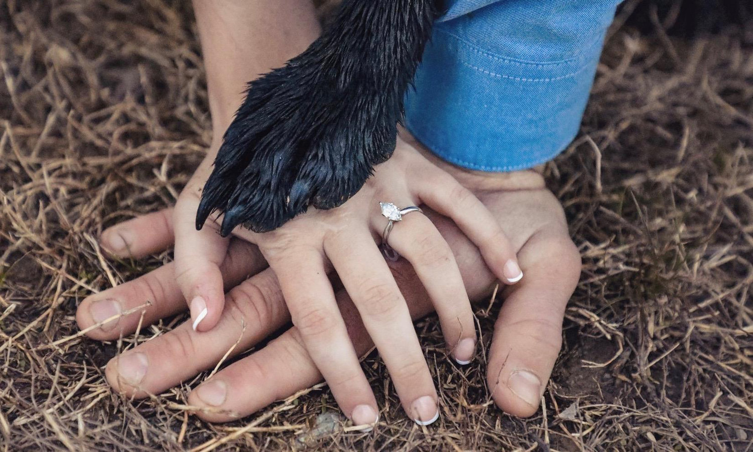 The Wedding Website of Lily Herndon and Philip Best