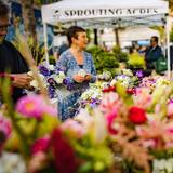Dane County Farmers' Market on the Square