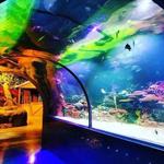 Shreveport Aquarium