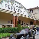 Visit the Freixenet Winery